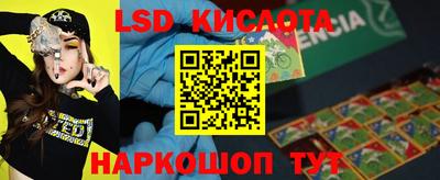 шишки Северобайкальск