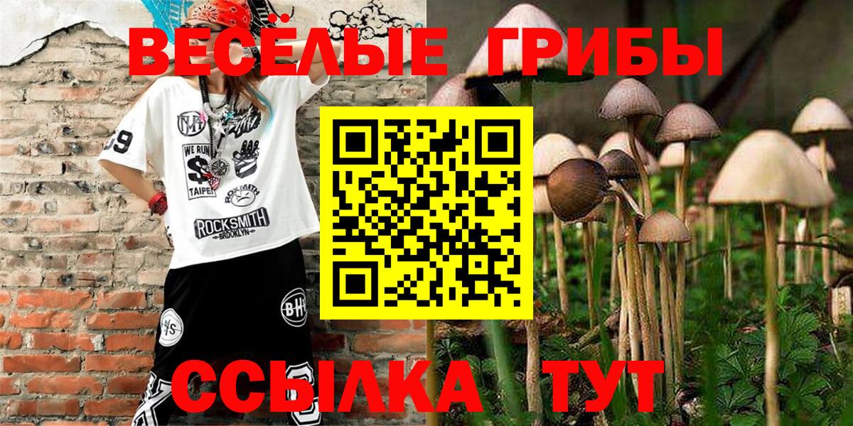 Отрадный  Галлюциногенные грибы Magic Shrooms  Вход с VPN  Псилоцибиновые грибы ЛСД 